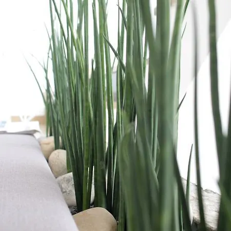 弗里德里希大街酒店